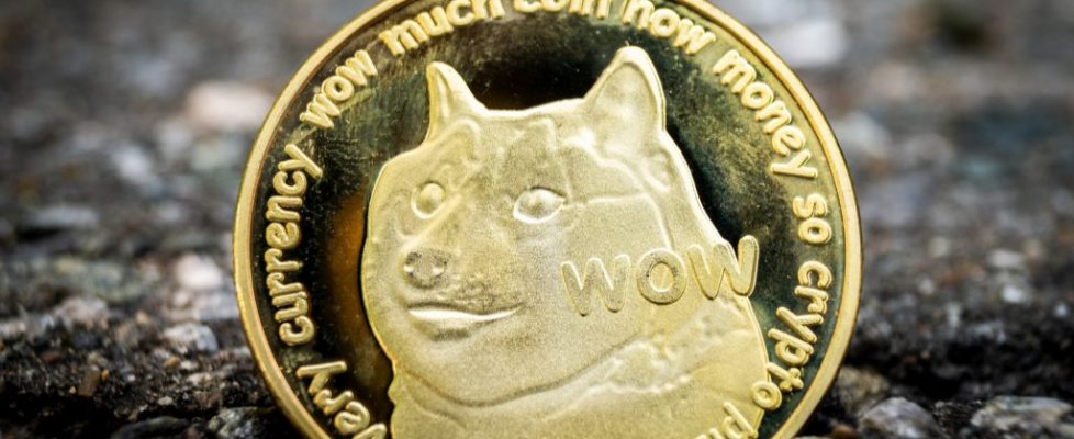 Din guide till att köpa Dogecoin